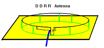 DDRR Ant